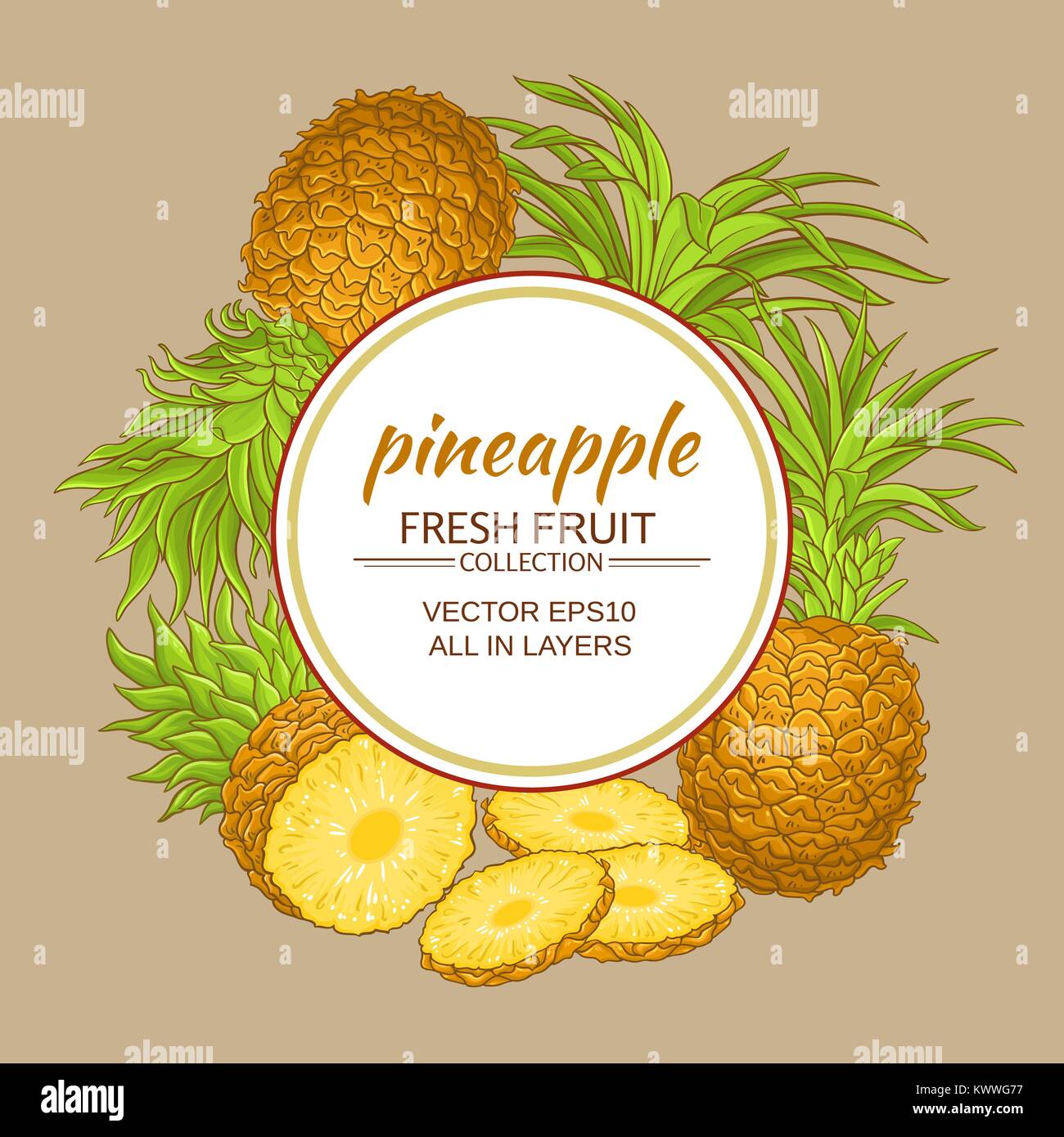 pineapple fruits vector frame on color background Stock Vector Image