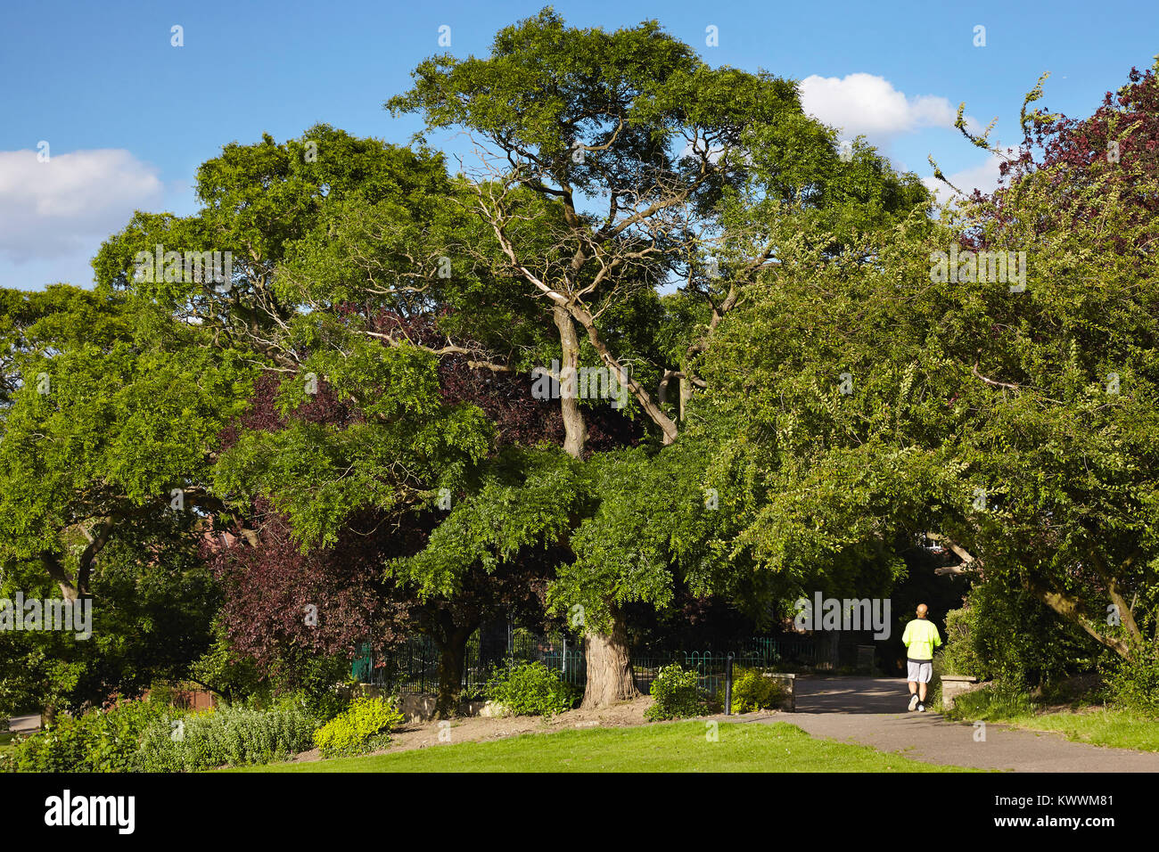 Sunny Hill Park, Hendon, London, UK Stock Photo