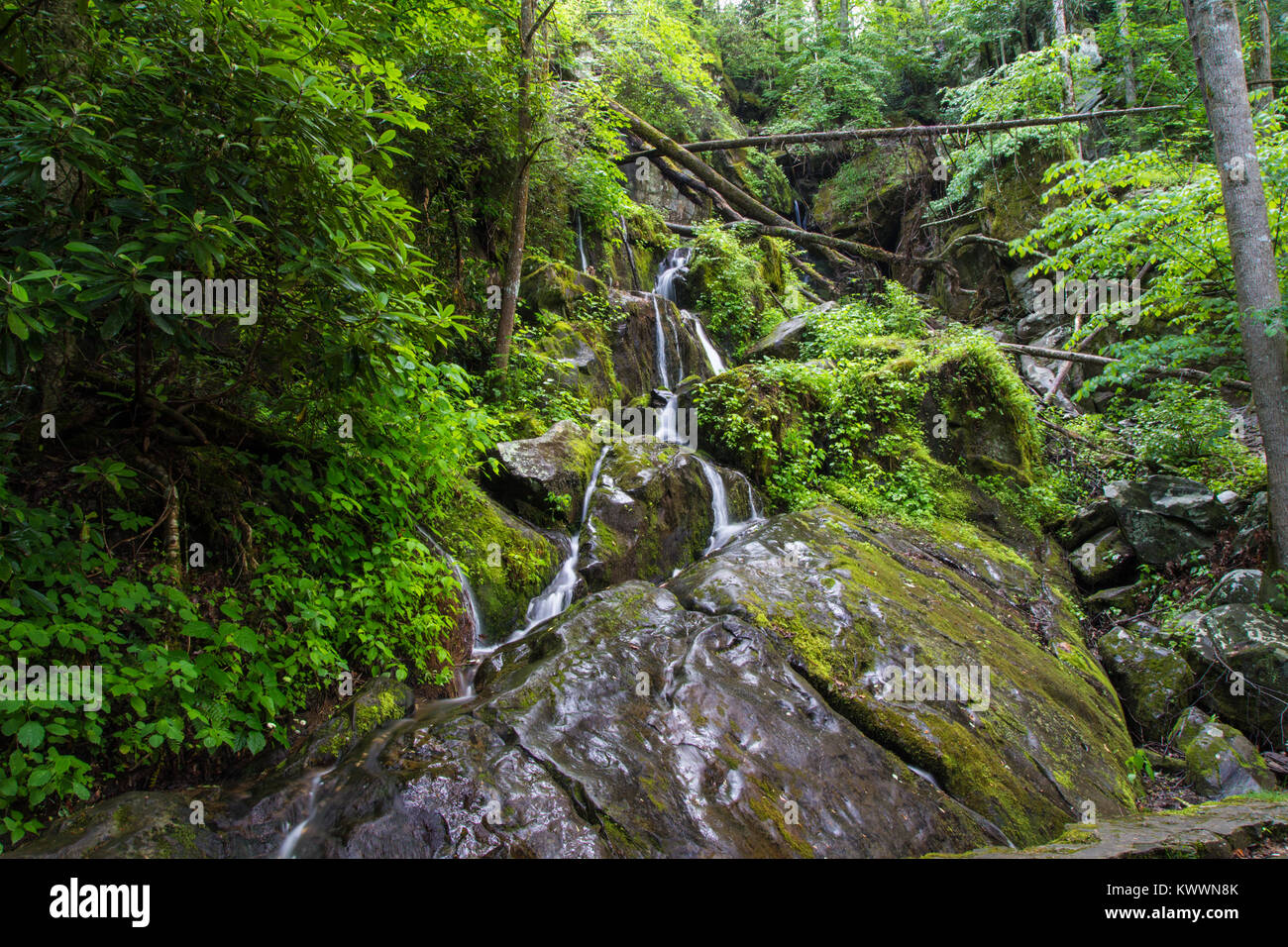 Springtime In The Great Smoky Mountains,  Beautiful seasonal roadside waterfall, Place Of A Thousand Drips, Roaring Fork Motor Nature Trail. Stock Photo