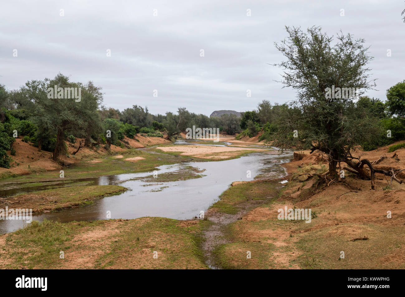 Luvuvhu River, Pafuri, Kruger National Park, november Stock Photo