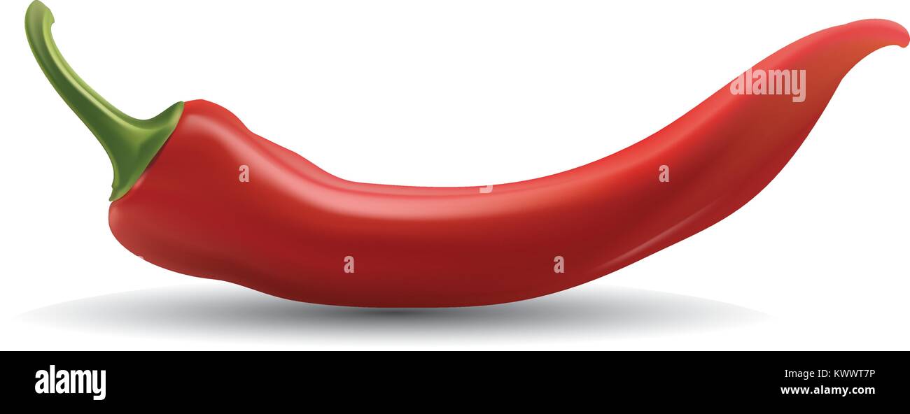Vector illustration of a red hot chili pepper isolated on a white ...
