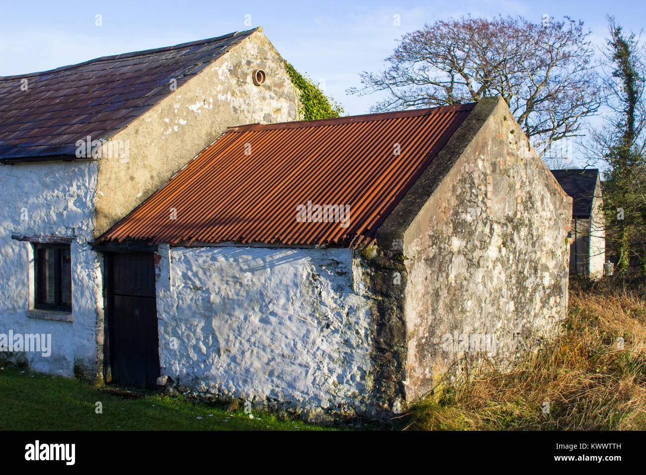 An old whitewashed stone built Irish Cottage with a small annex roofed with bangor Blue roofing tiles and rusting corrugated tin sheets Stock Photo
