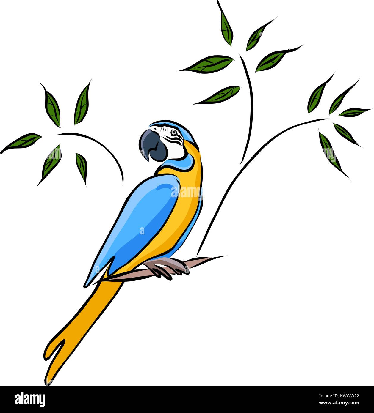 Hand drawn yellow parrot, vector Stock Vector Image & Art - Alamy