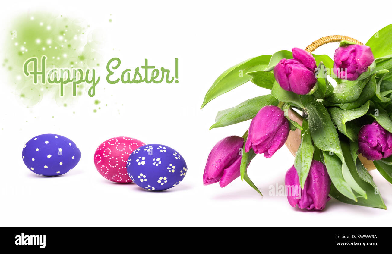 Pink tulips and painted Easter Eggs on white background. Space for your ...