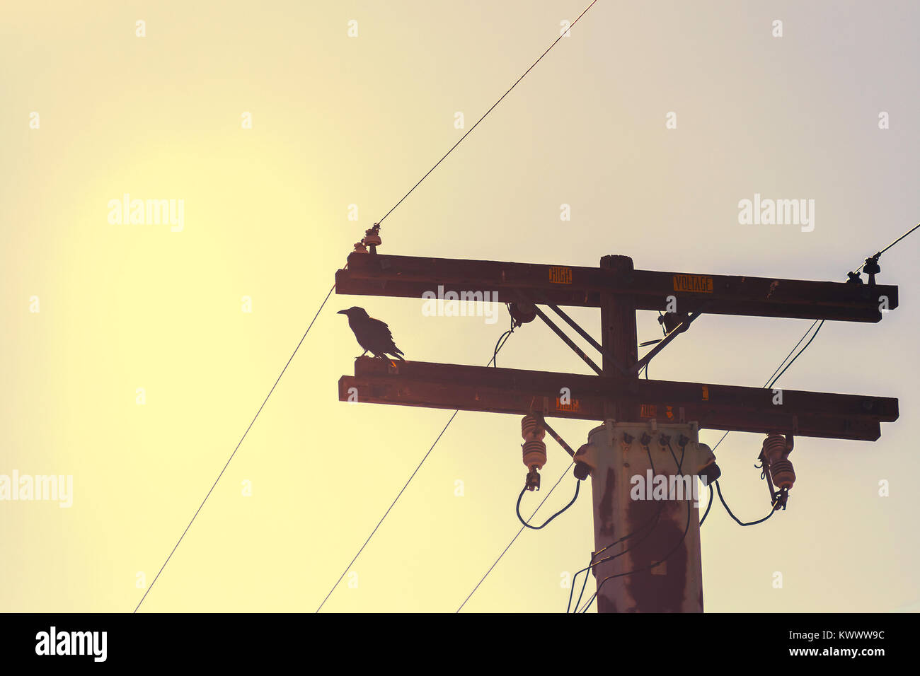 Silhouette of a crow standing on a high voltage wooden pylon, Southwest USA. Stock Photo
