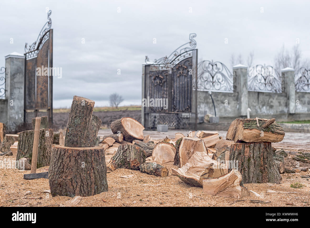 Oak firewood, preparing for the heating season, cut and split firewood