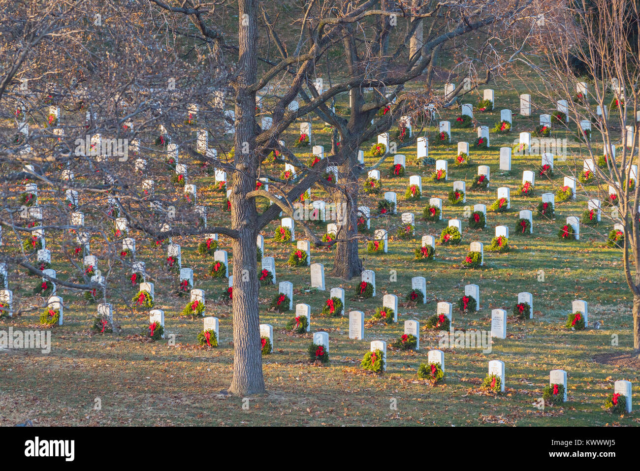 ARLINGTON, VA/USA - JANUARY 1, 2018: Rays of warm afternoon sunlight shine on wreaths with red bows adorning headstones commemorating the lives of bra Stock Photo
