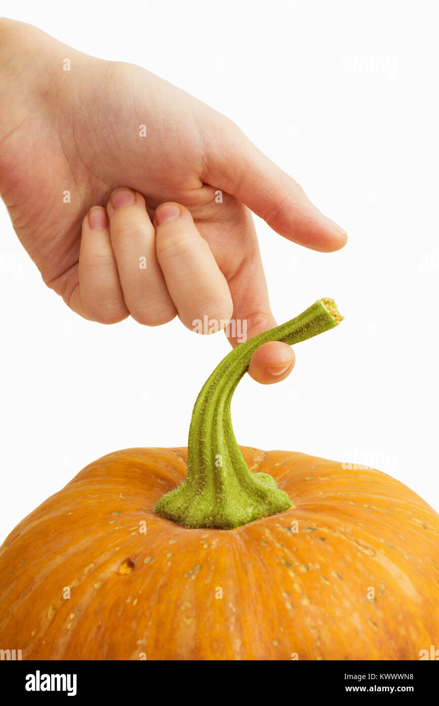 Hand holding a large pumpkin for the tail Stock Photo