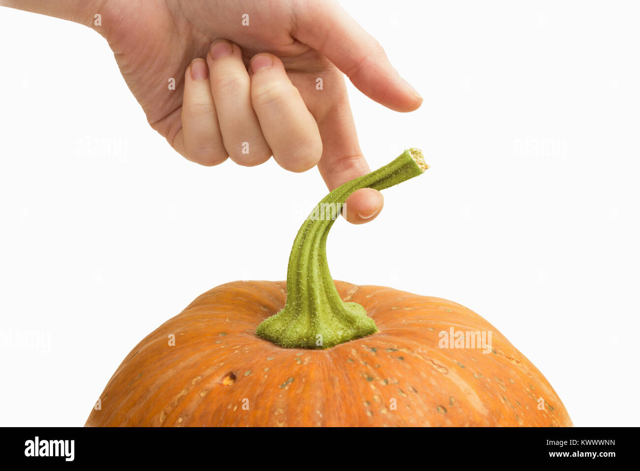 Hand holding a large orange pumpkin for tail Stock Photo