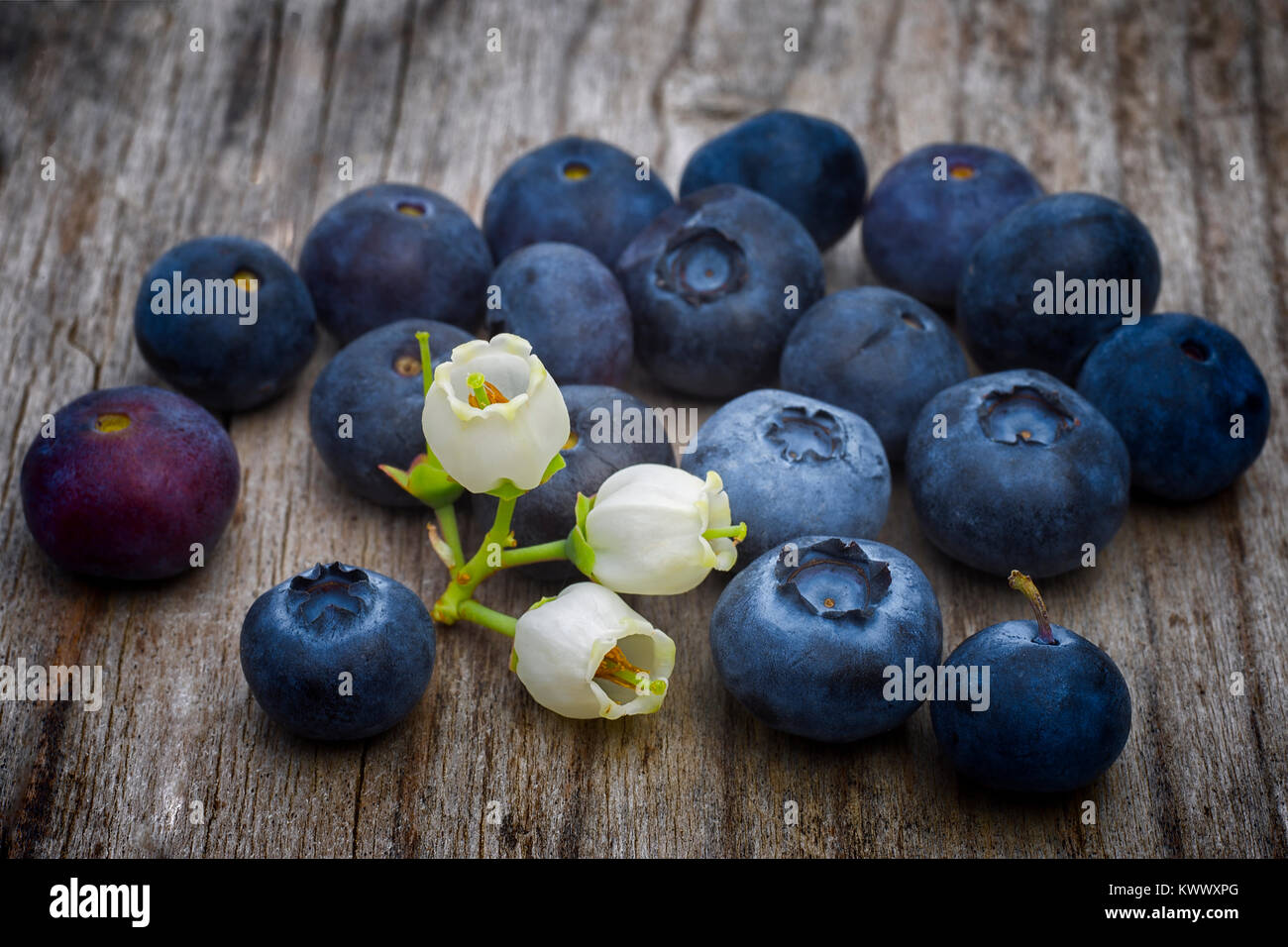blueberry flowers and fruits (Vaccinium corymbosum) on wooden table