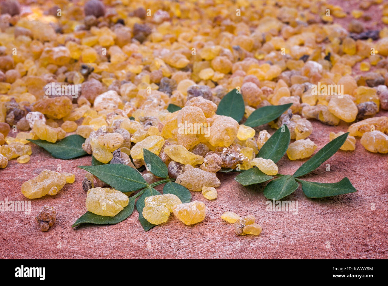 Frankincense (Boswellia Papyrifera), resin and leaves, Incense from Etiopia. Stock Photo