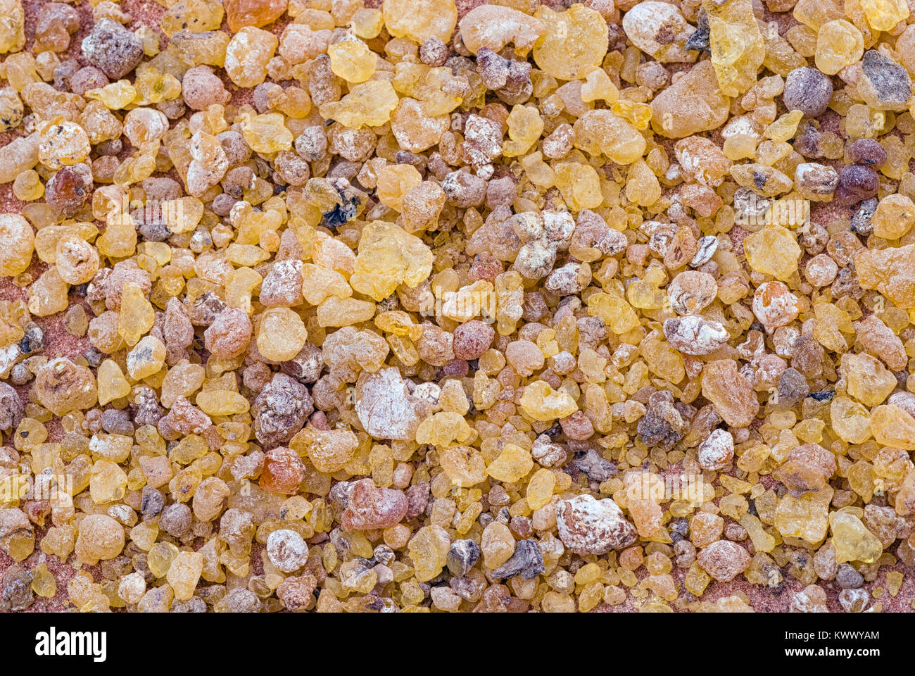 Frankincense (Boswellia Papyrifera), resin and leaves, Incense from Etiopia. Stock Photo