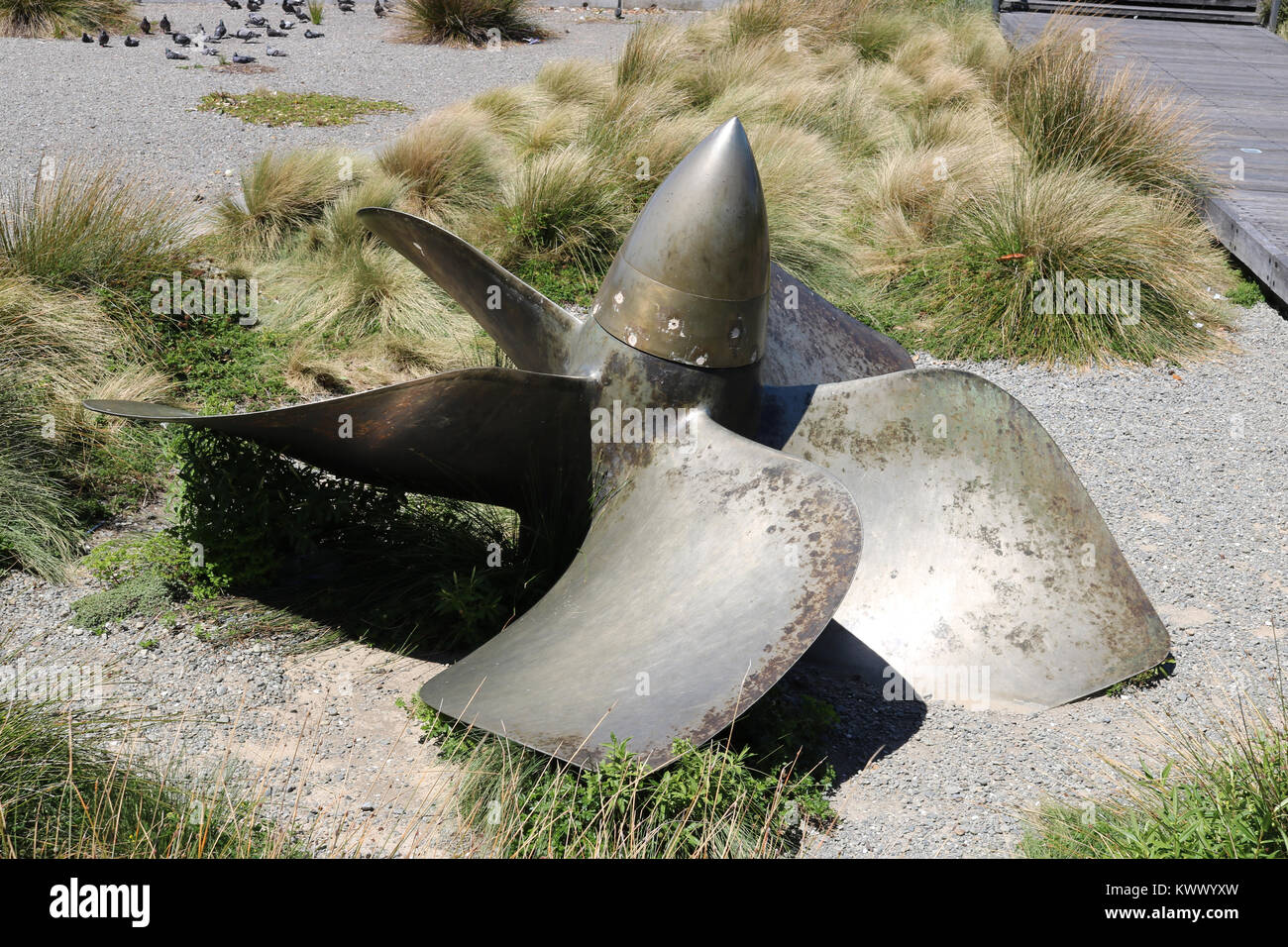 Old F69 propeller from NZ Navy Ship Wellington in a garden area in the