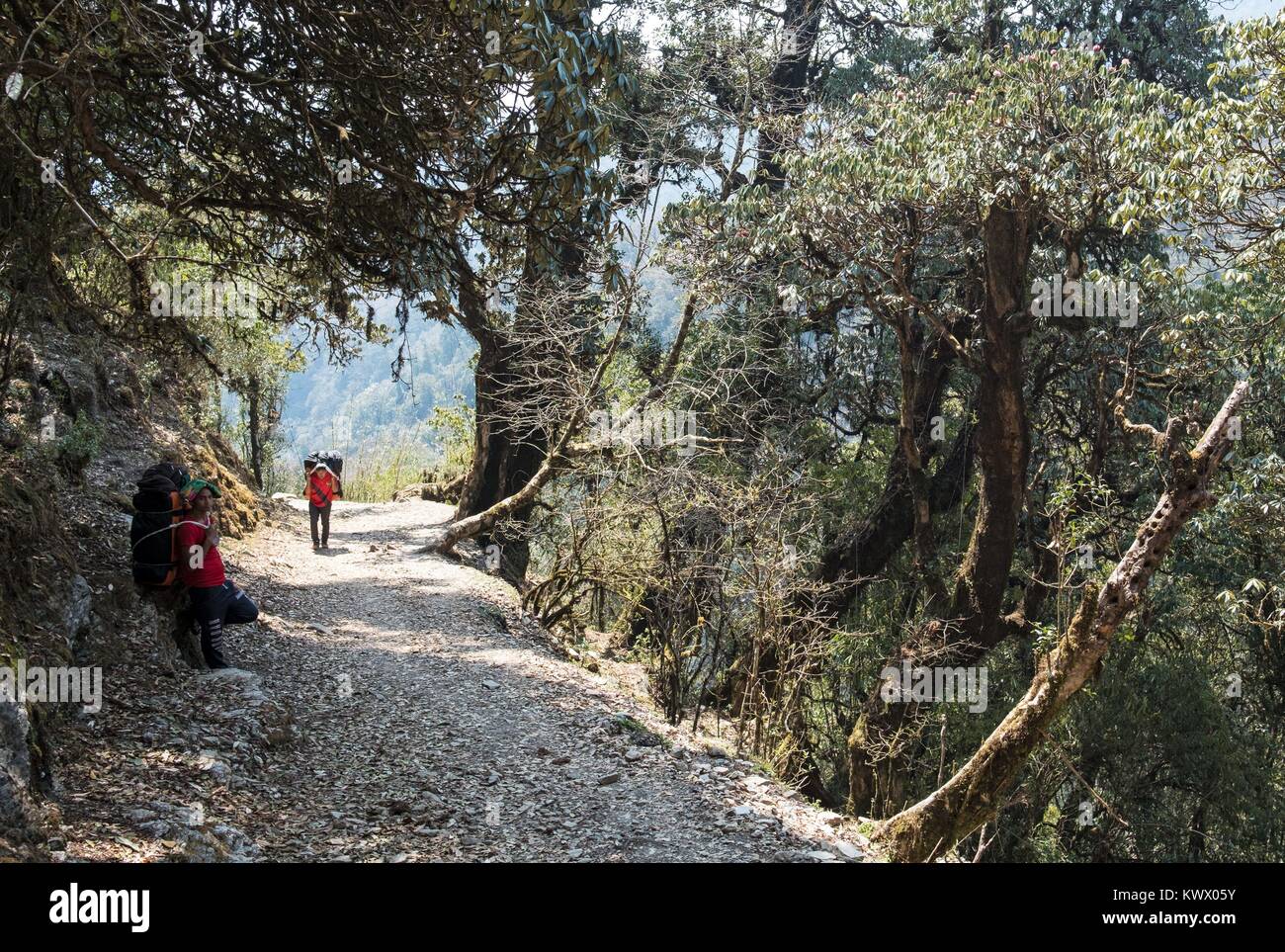 A Nepali Porta carries tourist luggage on 11.04.2017 on the trekking tour in the Annapurna