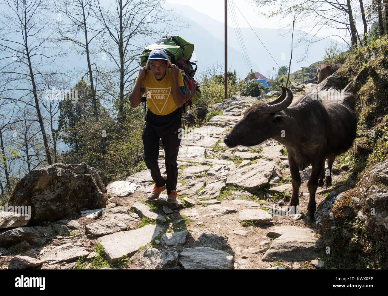 A Nepali Porta carries tourist luggage on 11.04.2017 on the trekking tour in the Annapurna