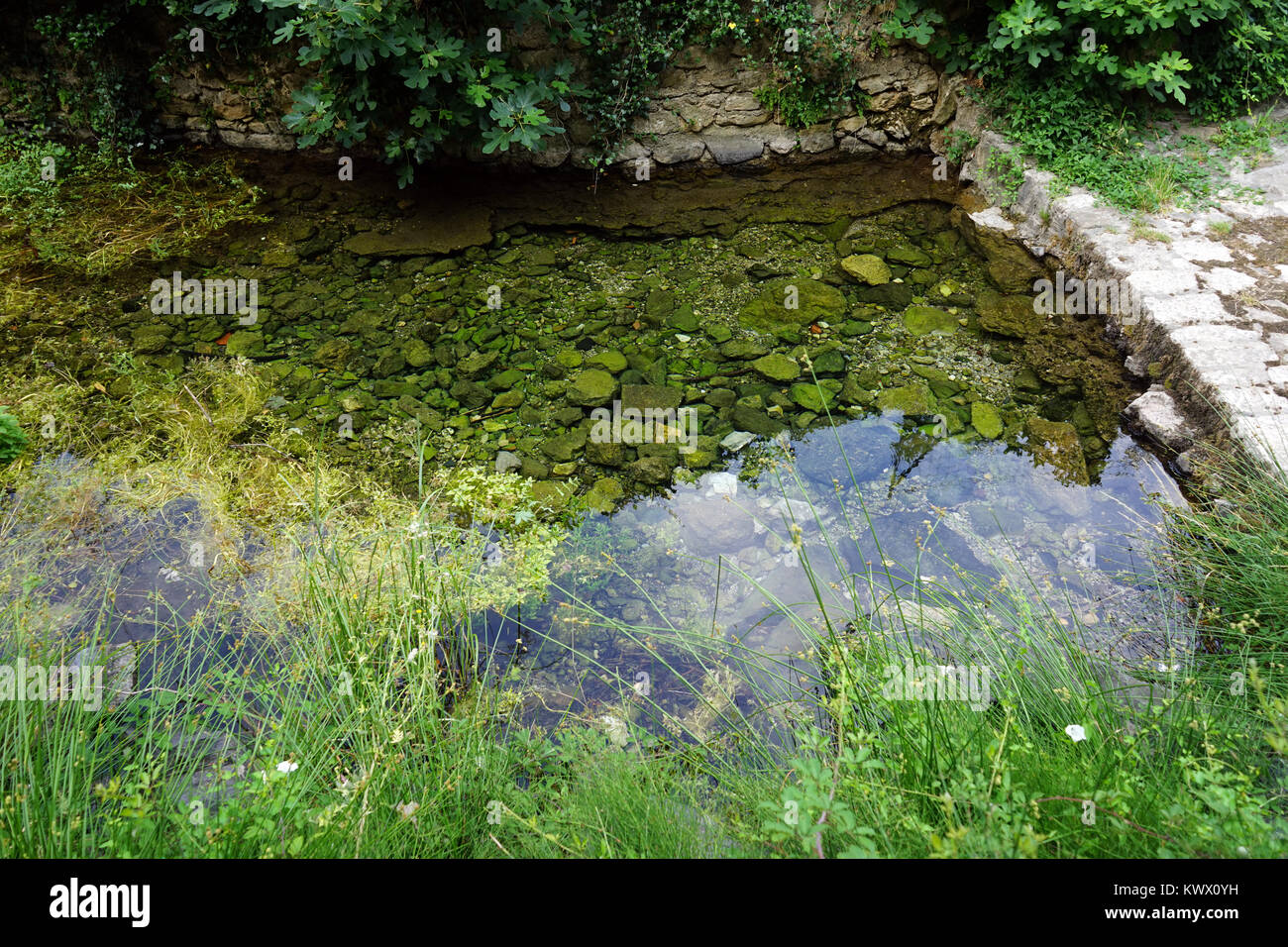 Spring with clean water, France Stock Photo