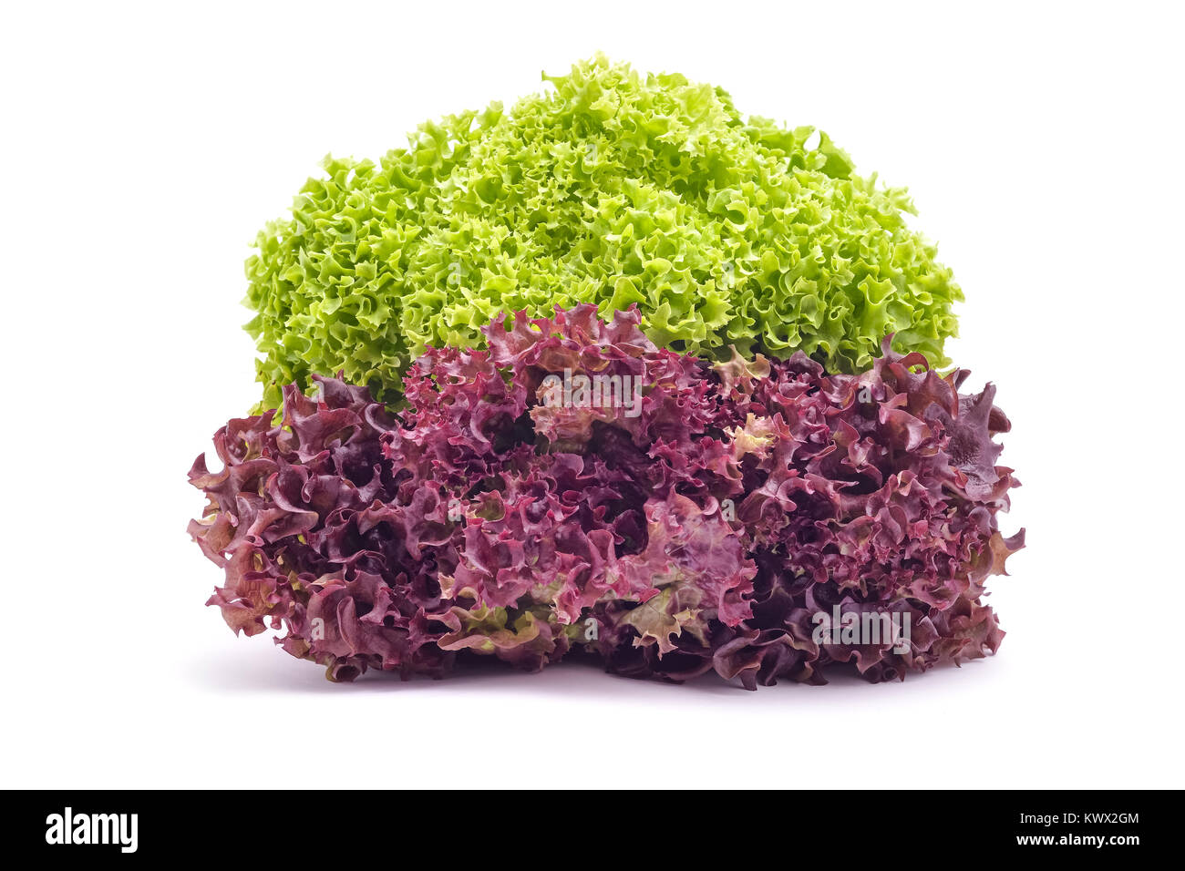 green and red salad studio isolated Stock Photo