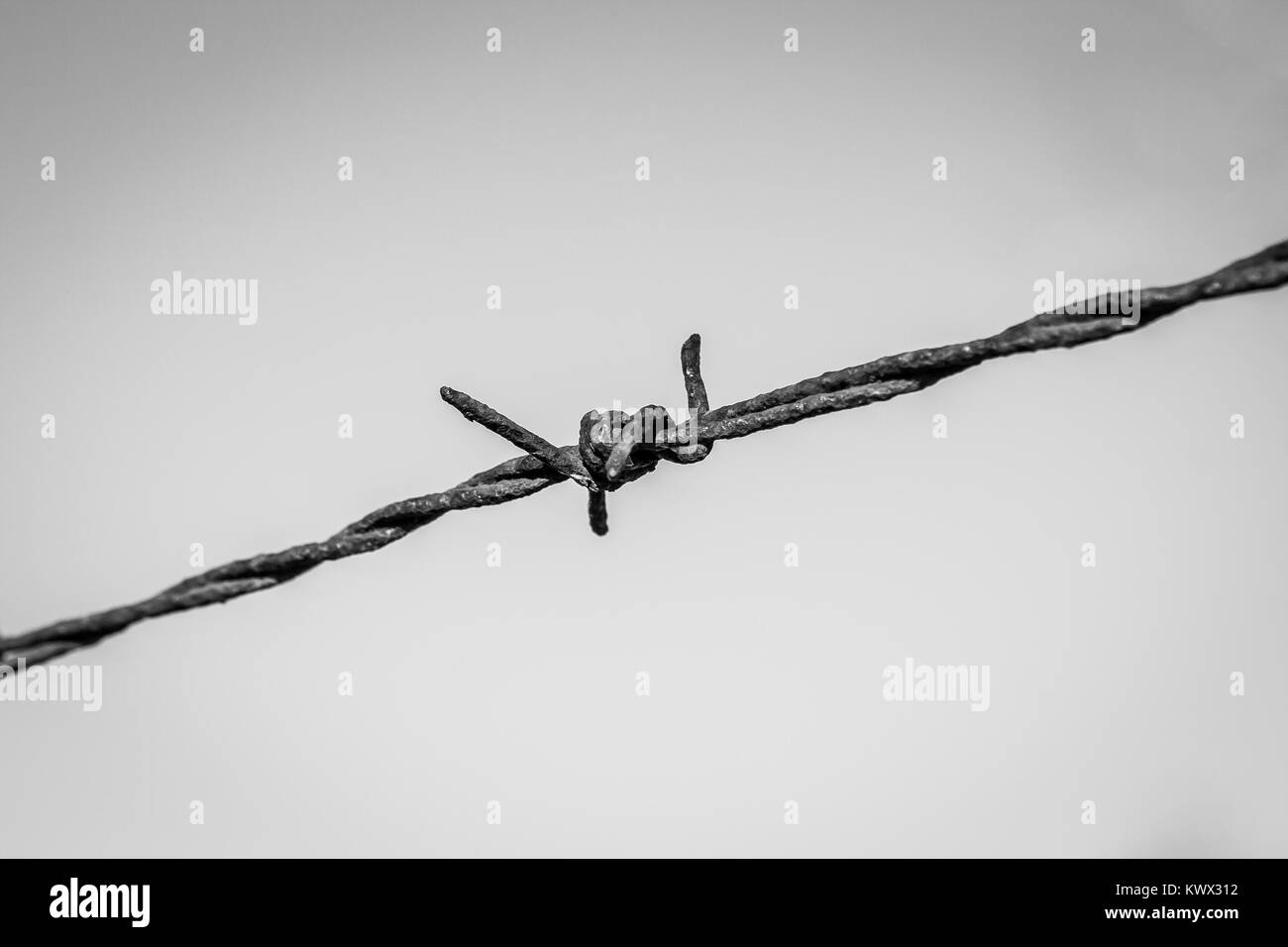 A spike Black and White Stock Photos & Images - Page 2 - Alamy