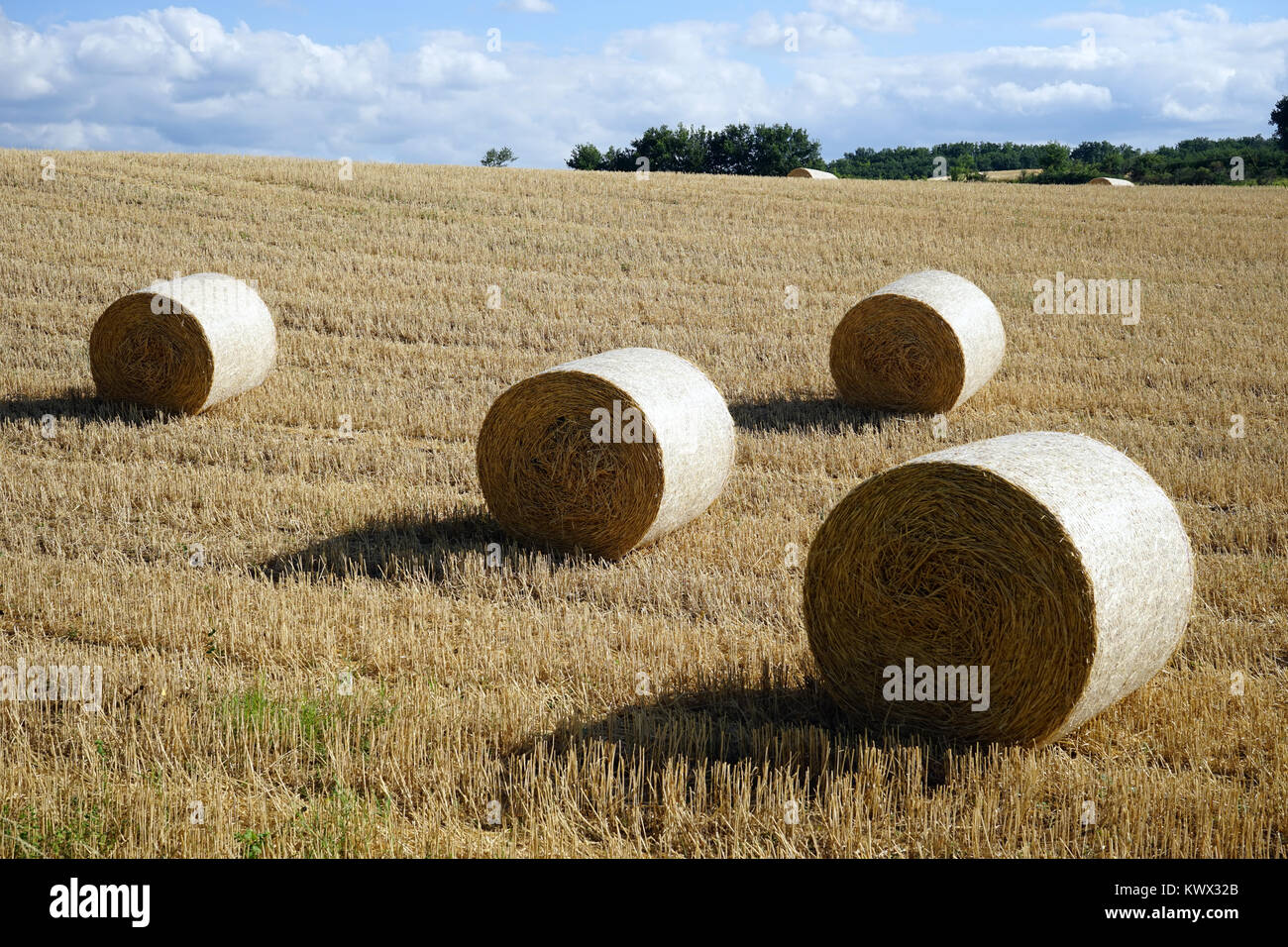 Stubble and straw on the farm field, France Stock Photo - Alamy