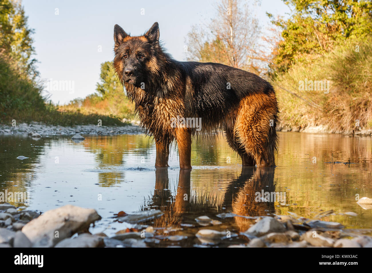 Intelligent brown eyes hi-res stock photography and images - Page 18 - Alamy