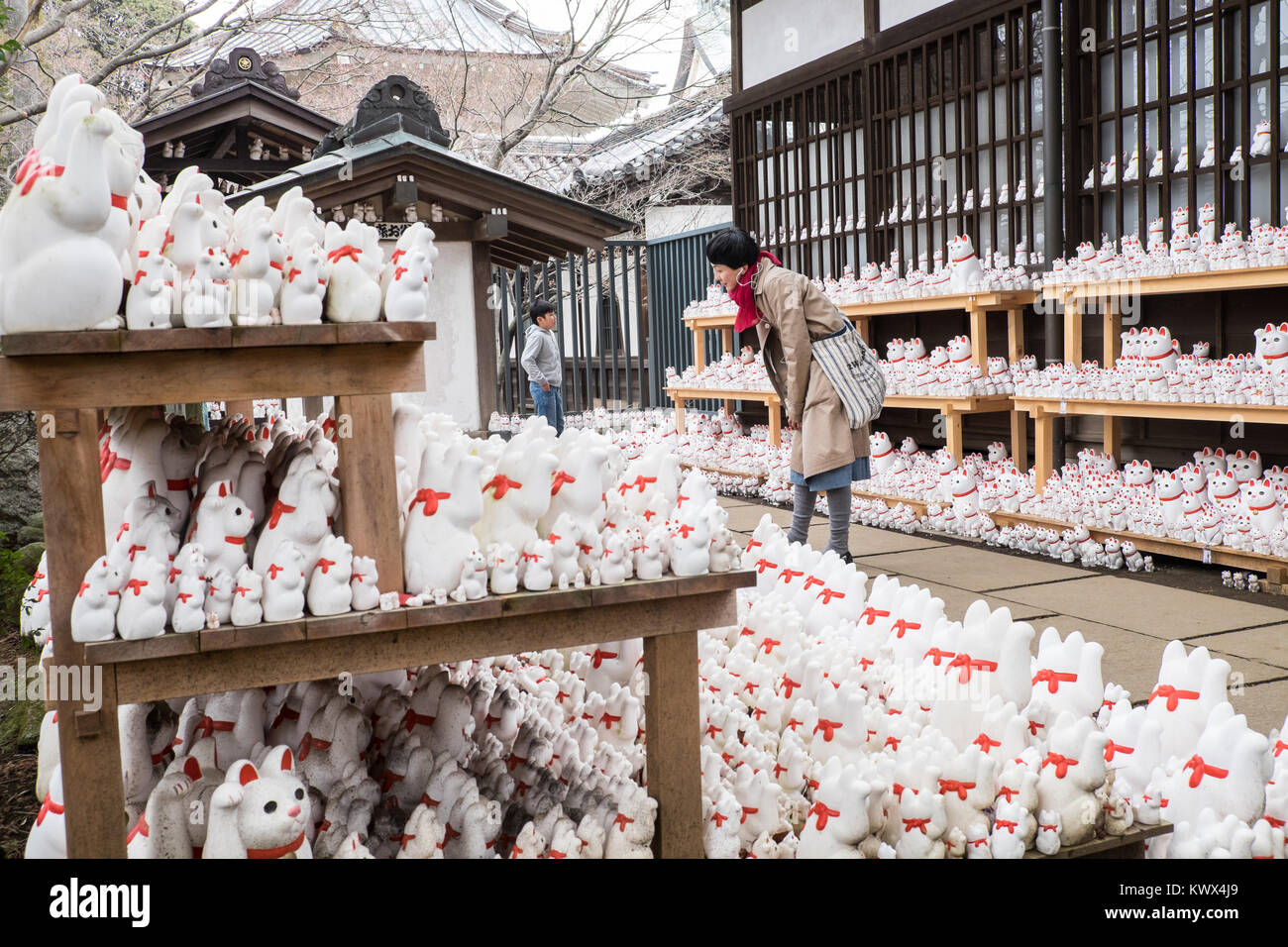 Japan, Tokyo, Honshu Island: Maneki neko at Gotoku-ji, a temple dedicated to the 'maneki neko' lucky beckoning cats, in the district of Setagaya. A co Stock Photo