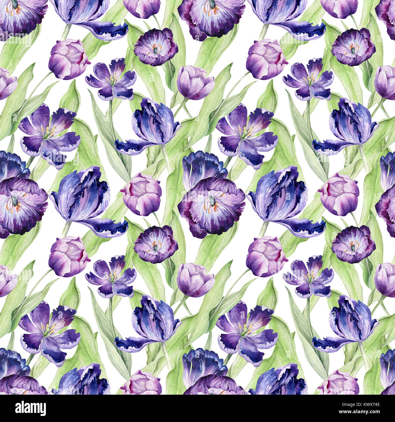 Watercolor floral tulip backgraund. Seamless colorful spring pattern ...