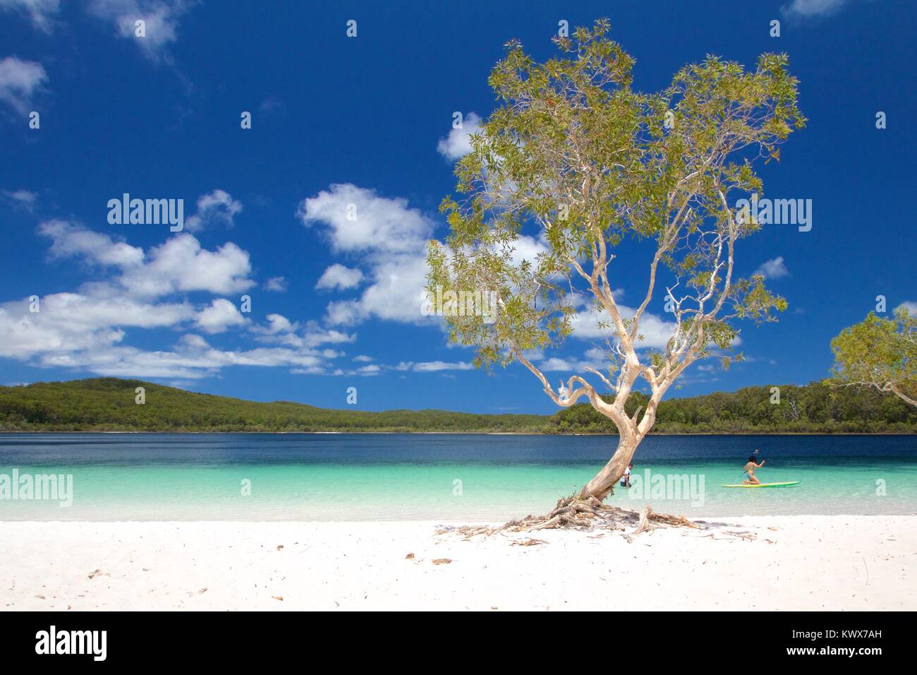 McKenzie lake, Fraser Island Stock Photo