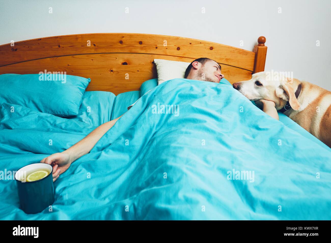 Influenza season. Sick man under blanket is holding cup of the hot tea and looking on his dog. Stock Photo