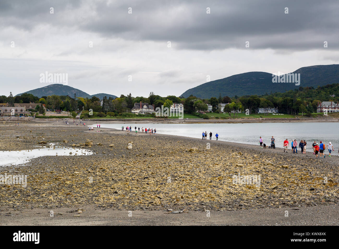 Groups of people walking to and from Bar Harbor, Maine and Bar Island during low tide. Acadia National Park, Maine Stock Photo