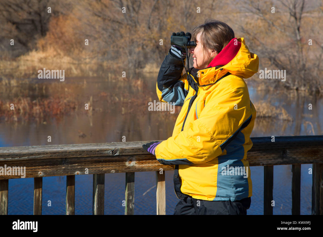 Flight deck pier, Bosque del Apache National Wildlife Refuge, New Mexico Stock Photo Alamy