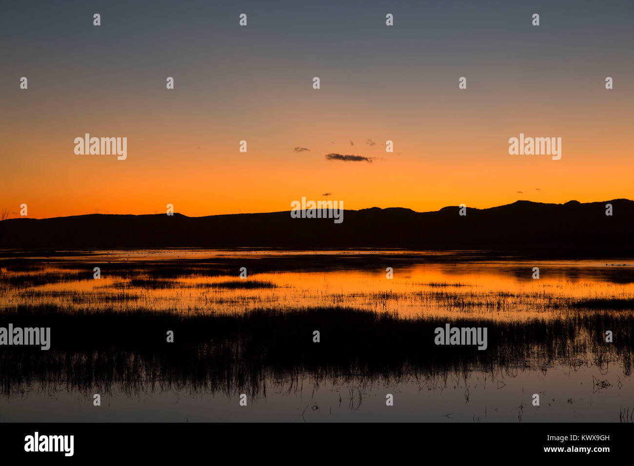 Bosque del apache sunset hi-res stock photography and images - Alamy