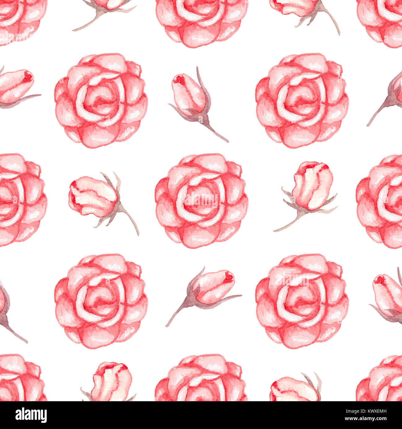 Hand drawn watercolor seamless pattern with red roses on a white ...