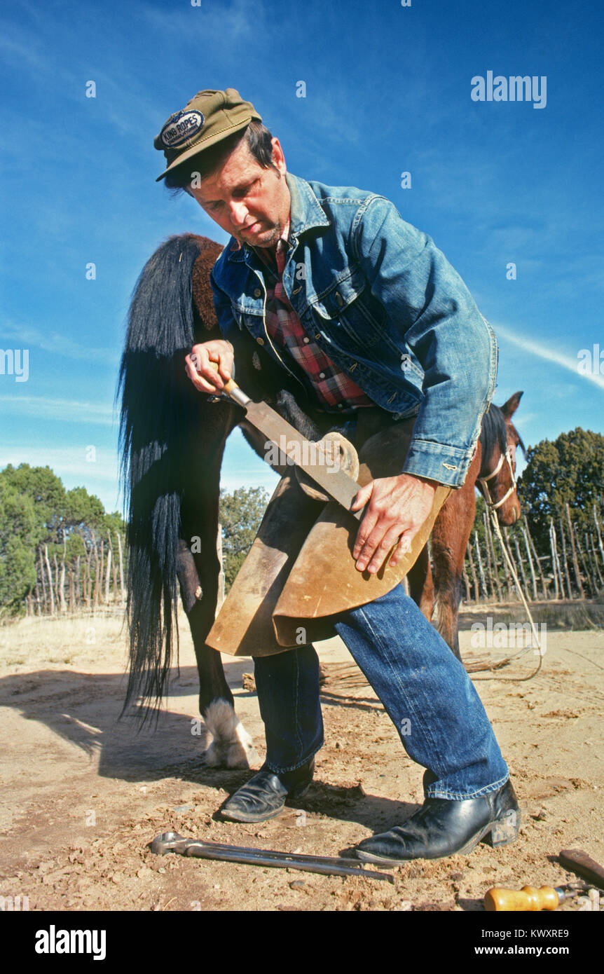 A farrier puting iron shoes in a horse, on a ranch in northern New Mexico Stock Photo
