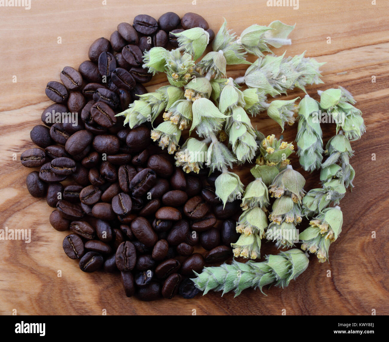 coffee beans and greek mountain tea shaped in yin and yang symbol on