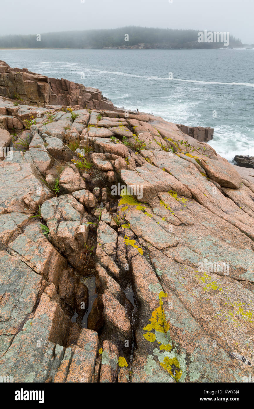 A small gathering of seagulls congregated on the rocky coastline of
