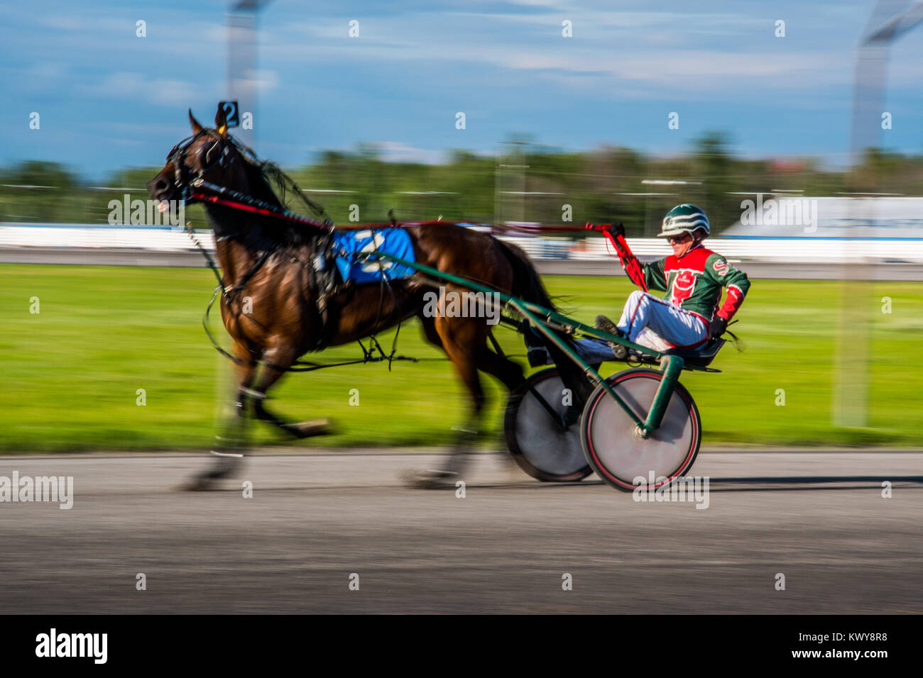 Canada horse hires stock photography and images Alamy