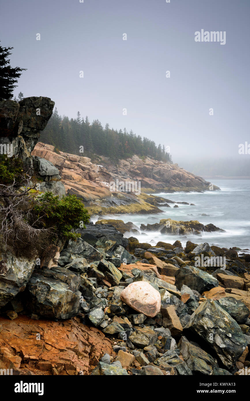 Foggy morning and rocky shoreline of Western Point in Acadia National Park. Stock Photo