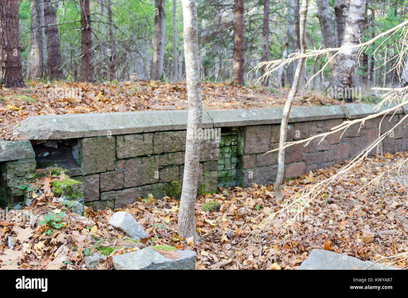 The ruins of Old Farm, Dorr's estate, in the woods near Compass