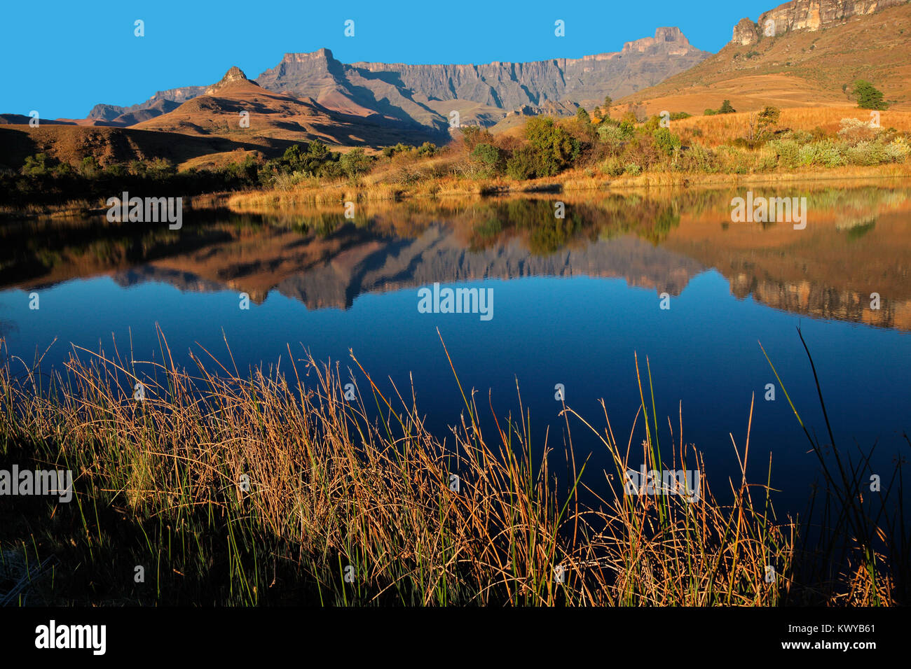Mountains with reflection in water, Royal Natal National Park, South Africa Stock Photo