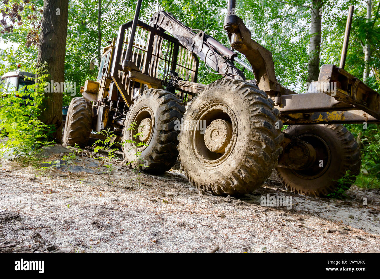 View on the group of deforestation machinery is parked in group ...