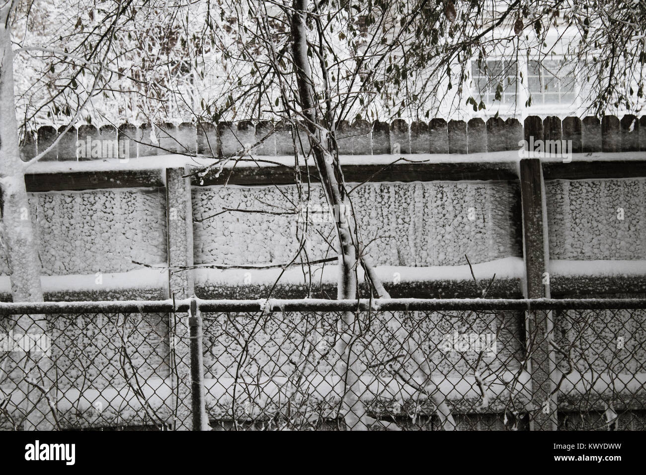 Snow covered fence Stock Photo