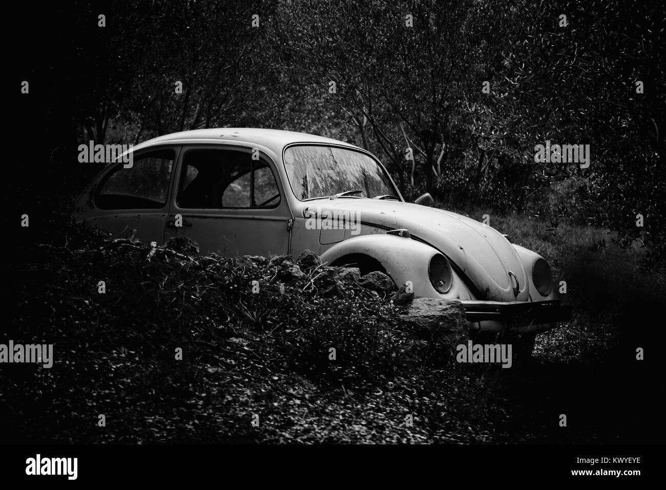 Wreck of an old and rusty car in the bushes and among the trees, a black and white image Stock Photo