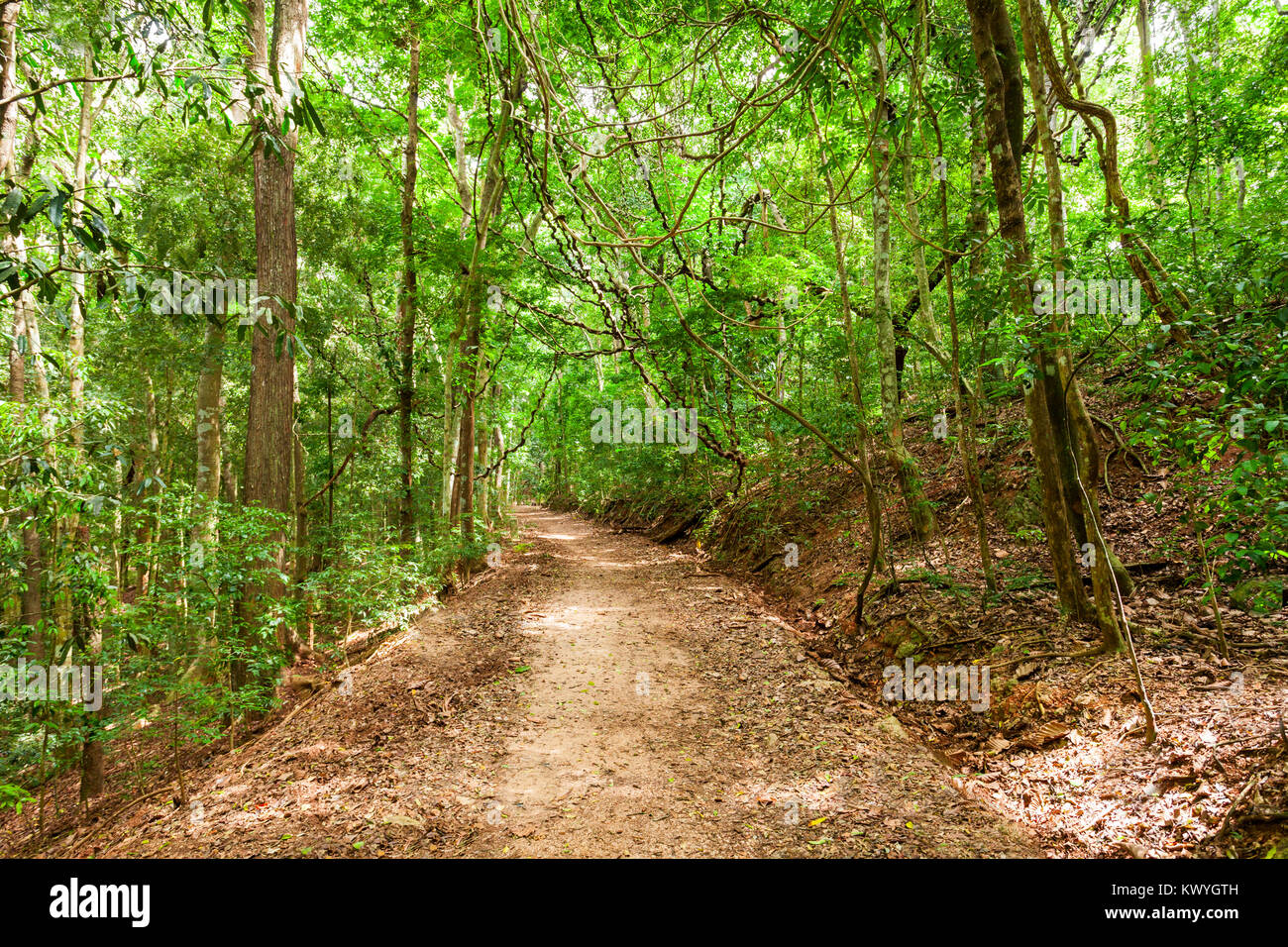 Udawattakele sanctuary hires stock photography and images Alamy