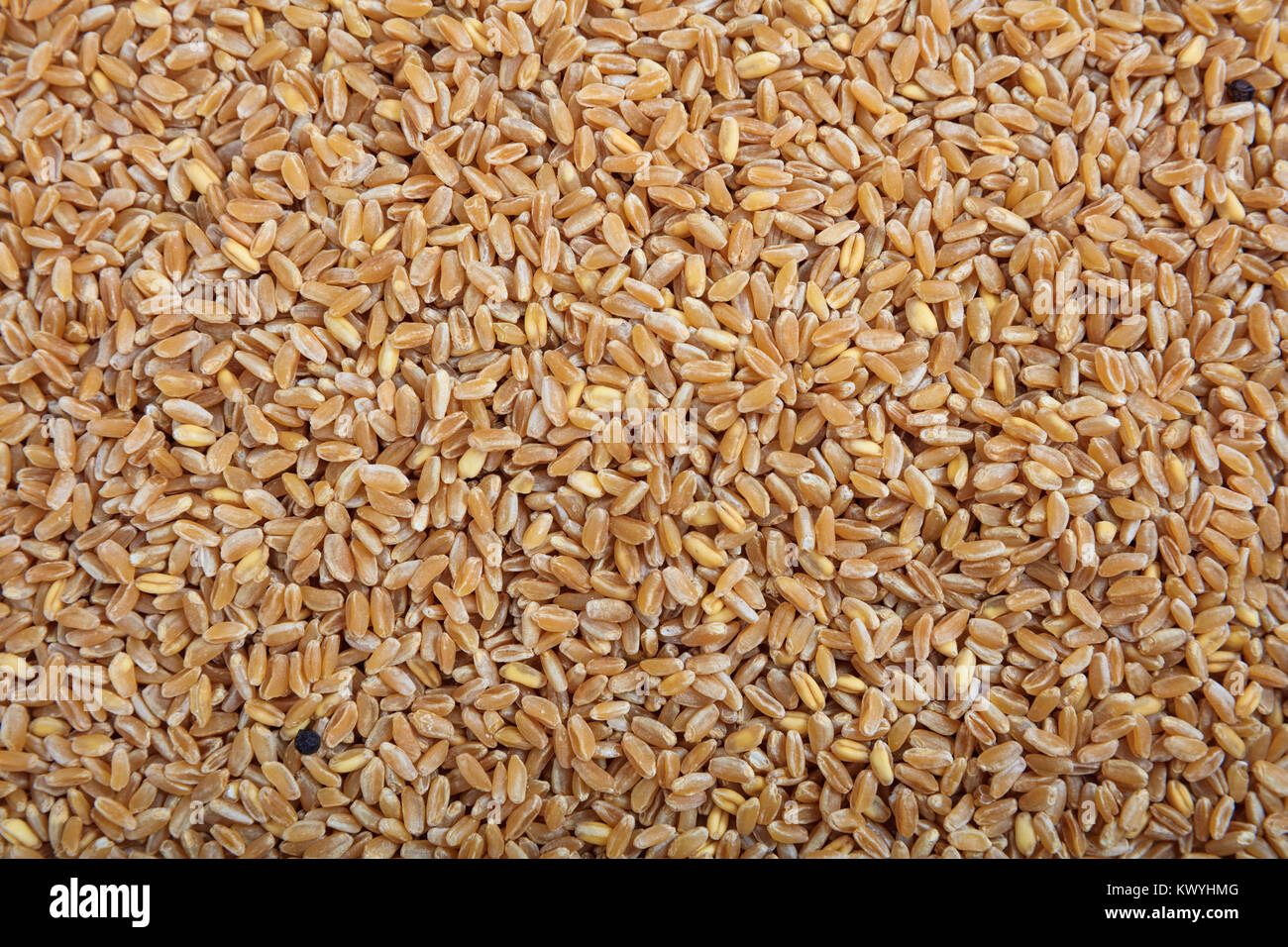 Wheat seeds as background Stock Photo - Alamy