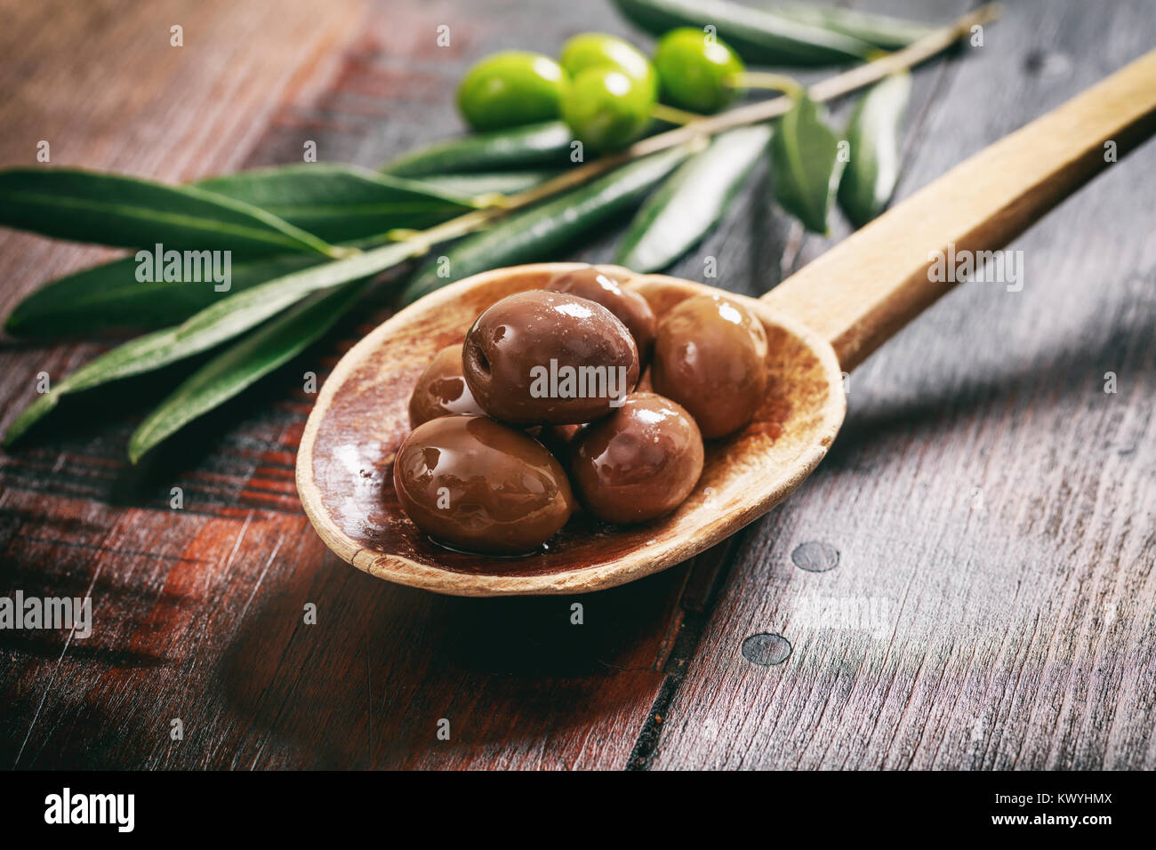 Olive oil plant pot hires stock photography and images Alamy