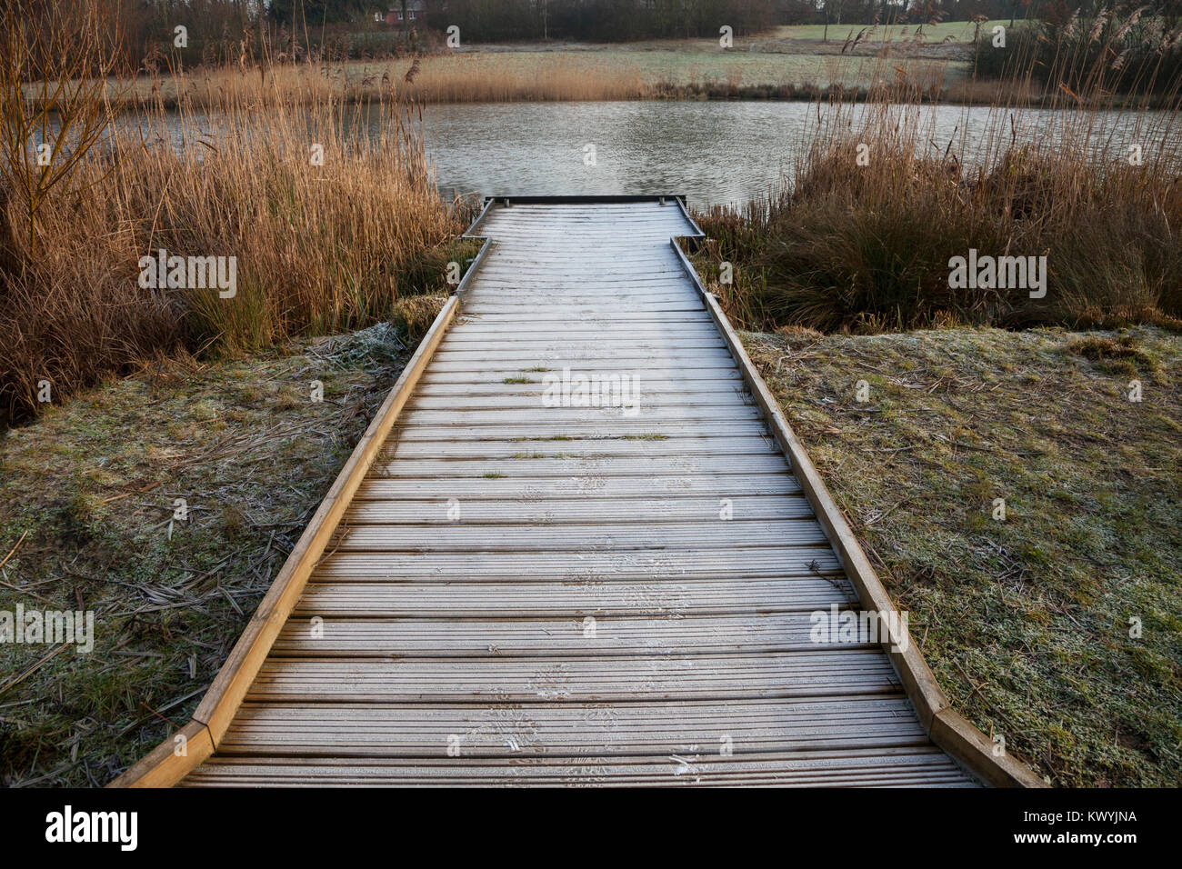 Bishops Stortford, St Michael's Mead, Southern Country Park, fishing pontoon, frosty morning Stock Photo