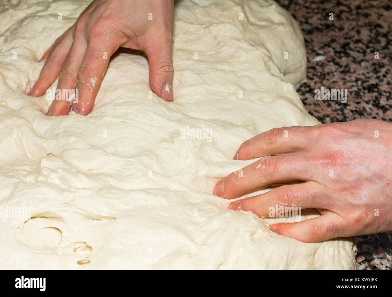 the chef's hands knead the dough to make pizza in the kitchen. Food, italian cuisine and cooking concept. Preparation of the Italian Pizza Stock Photo