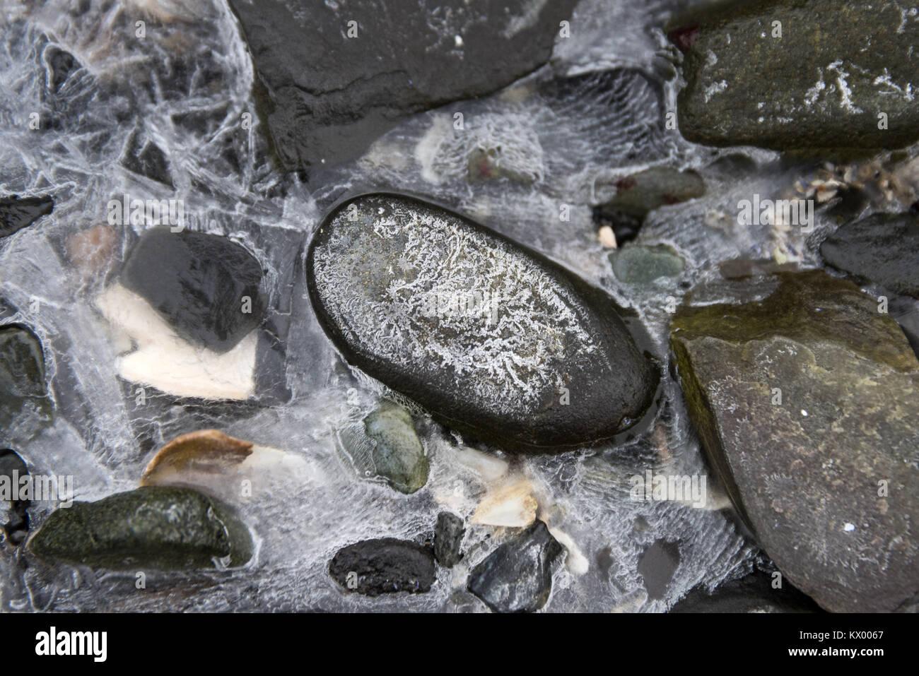 Patterns formed by salt precipitating from seawater as it freezes, Acadia National Park, Maine. Stock Photo