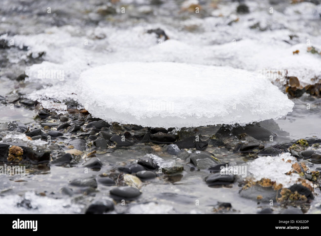 Ice floe on the shore at Acadia National Park, Maine. Stock Photo