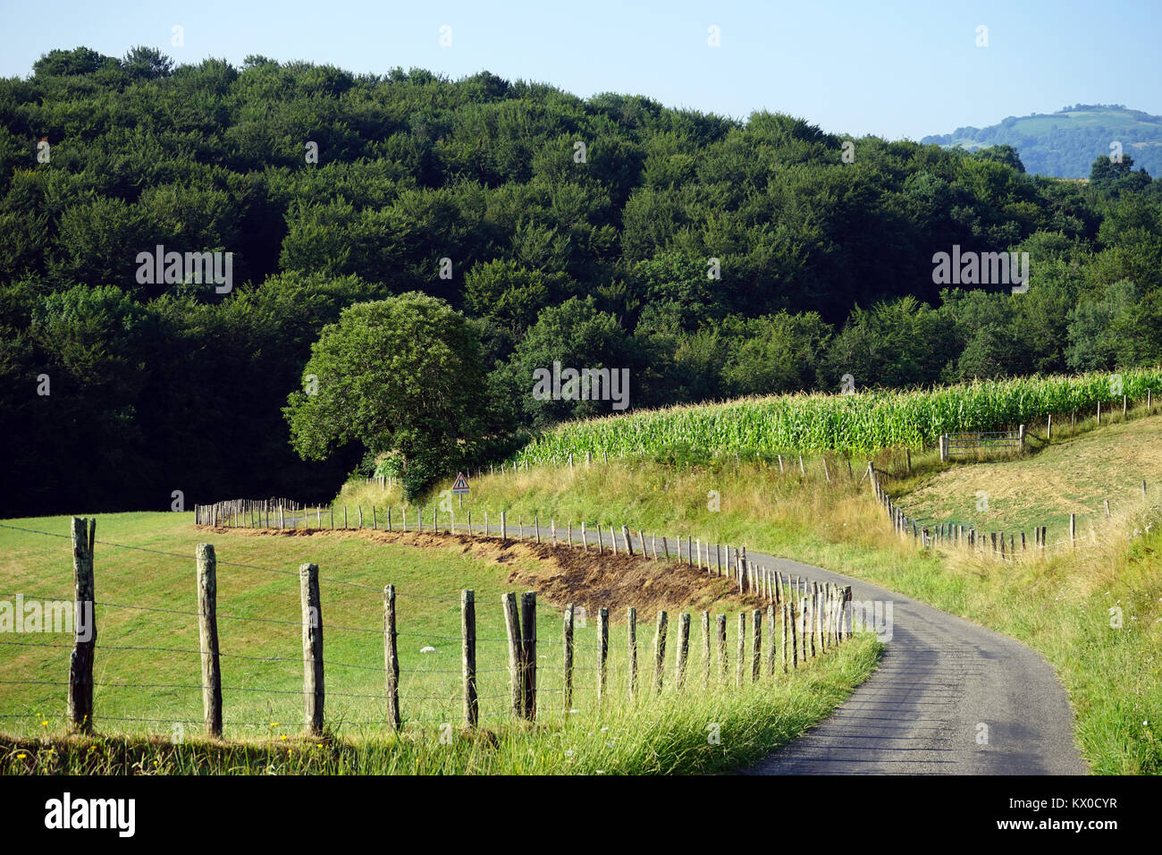 Road and green corn field in french farm, France Stock Photo Alamy